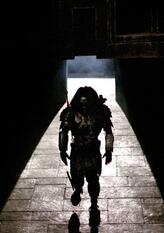 Scar Predator