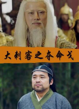 大刺客之夺命戈