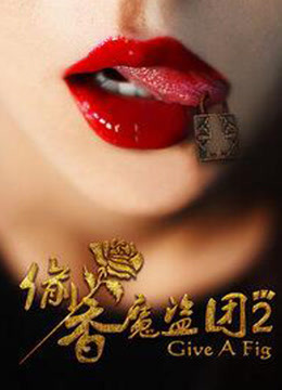 偷香魔盗团2