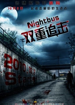 双重追击