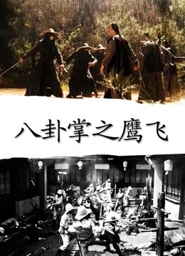 八卦掌之鹰飞
