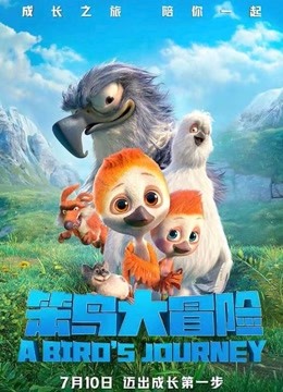 笨鸟大冒险