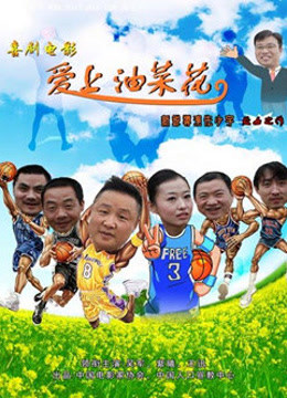 爱上油菜花