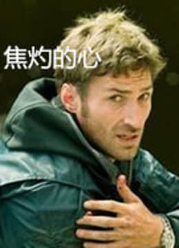 焦灼的心