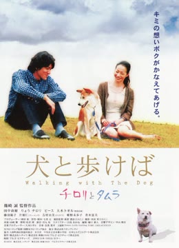 男人与流浪狗