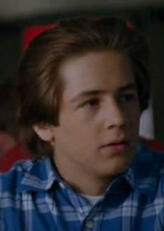 威尔