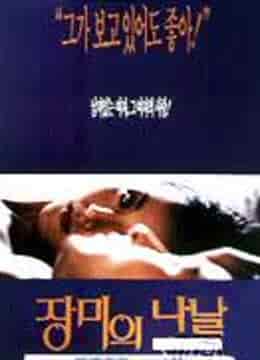 玫瑰的日子
