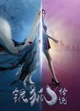 银狐传说
