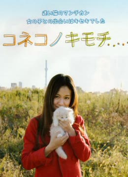 小猫的感觉