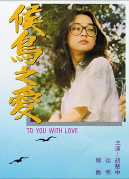 侯鸟之爱