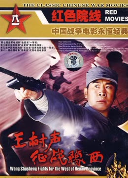 王树声征战豫西