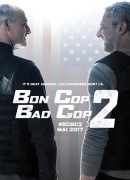 好警察坏警察2
