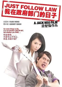 我在政府部门的日子