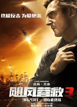 飓风营救3
