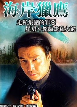 海岸猎鹰