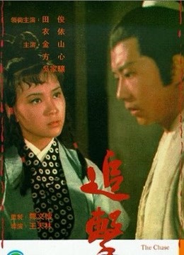 追击