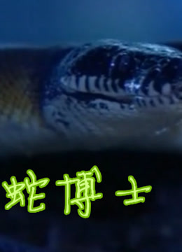 蛇博士