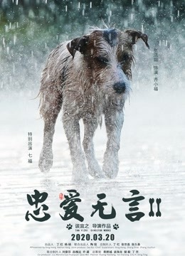 忠爱无言2