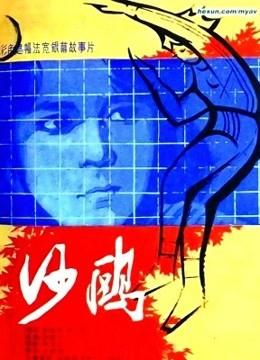 沙鸥