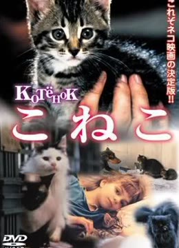 小猫虎子