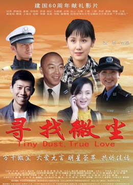 寻找微尘