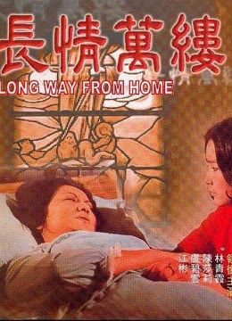长情万缕