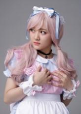 肖白菜