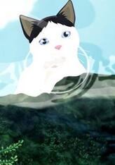 猫猫