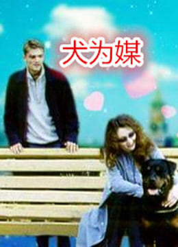 犬为媒