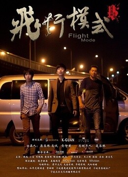 飞行模式