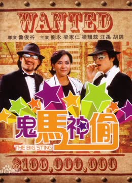 鬼马神偷