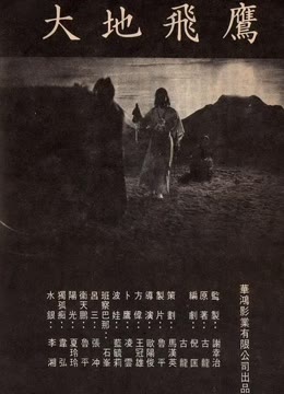 大地飞鹰