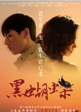 黑蝴蝶