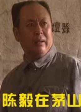 陈毅在茅山