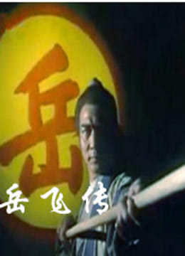 岳飞传