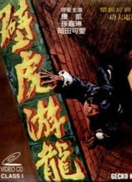 壁虎游龙