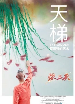 天梯：蔡国强的艺术