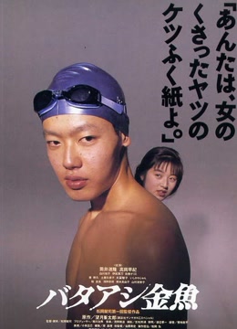 笨金鱼