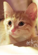 小王子