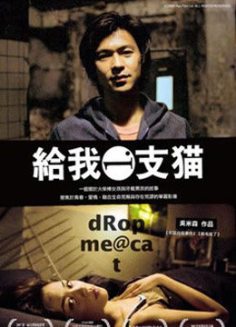 给我一只猫