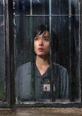 周露