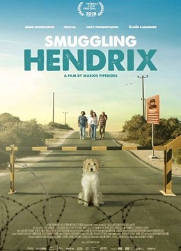 萌犬偷渡记
