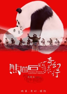 熊猫石的奇幻旅行