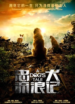 忠犬流浪记