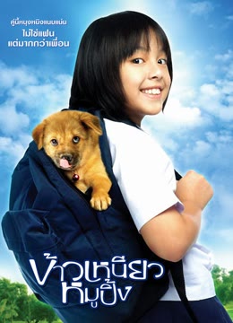 再见流浪犬