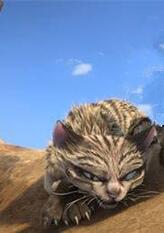 霉霉